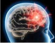 marijuana and the brain