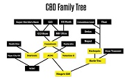 Cannabidiol (CBD)