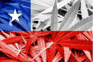 Chile&rsquo;s President Signs Decree Removing Cannabis as a &lsquo;Hard Drug&rsquo;