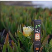 delta 8 THC