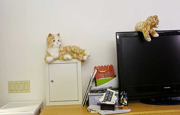 cannabis medication kept in safe